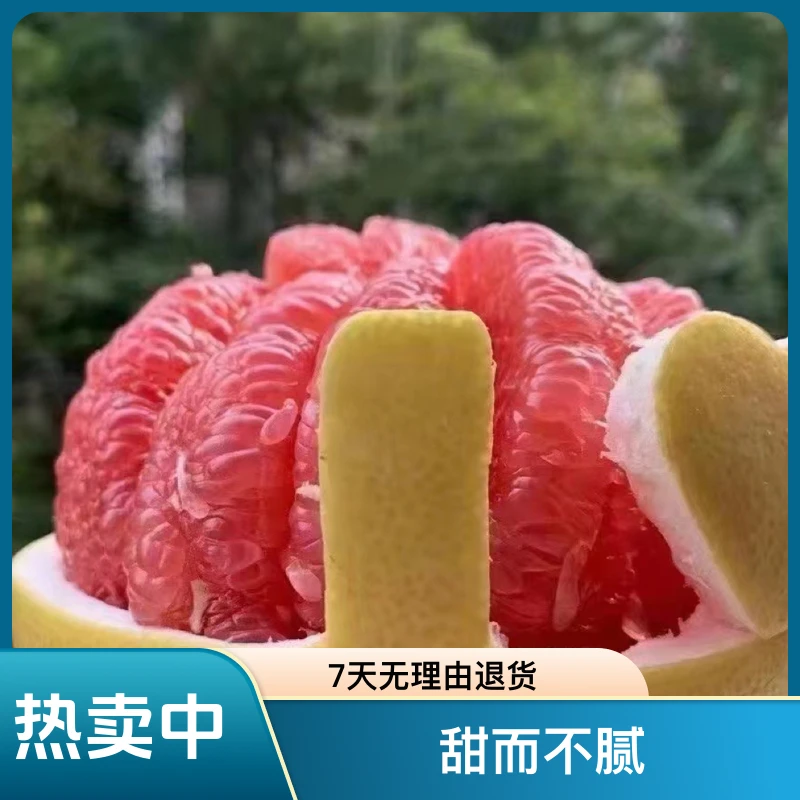 福建平和红心蜜柚正宗产地直发一件也是批发价