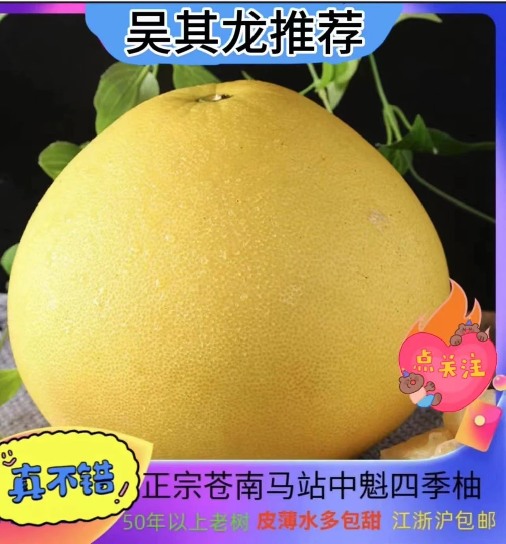 吴其龙推荐马站正宗四季柚袋子装