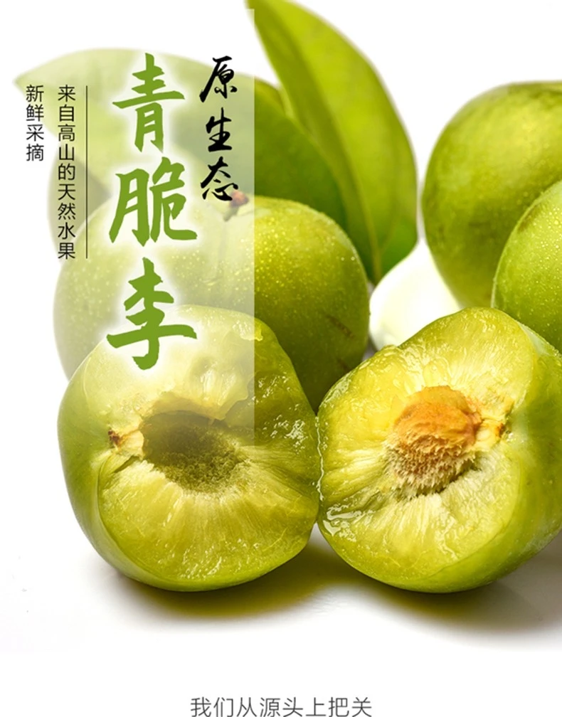 汶川高山脱骨脆李果 皮薄肉厚 酸脆可口 夏天零食小水果不二之选