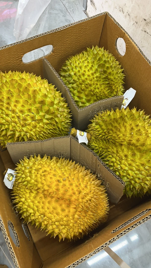 金枕鲜榴莲整个（一物一拍）