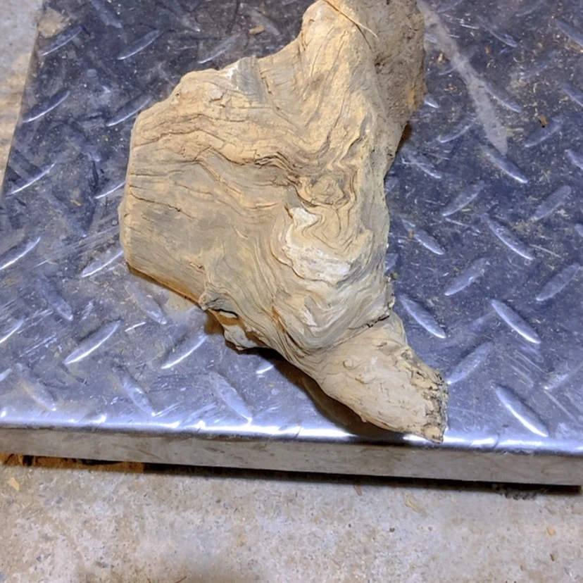 【闪购商品】柏根雕姚****室