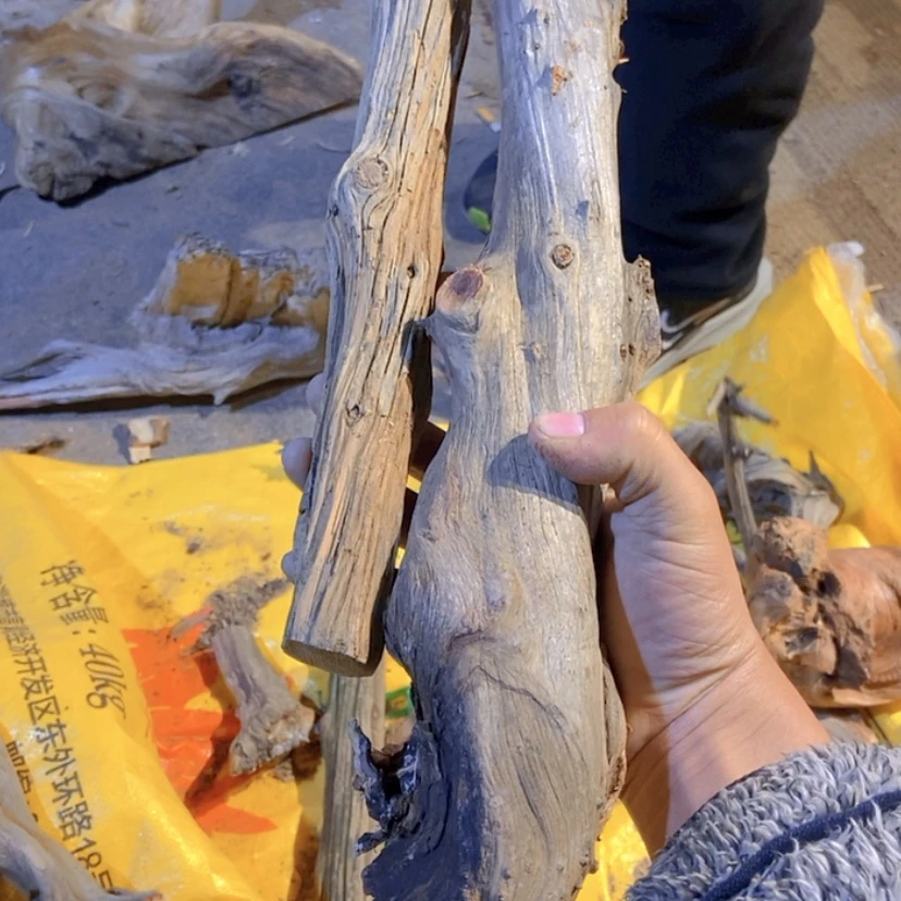 【闪购商品】柏根雕盛**年