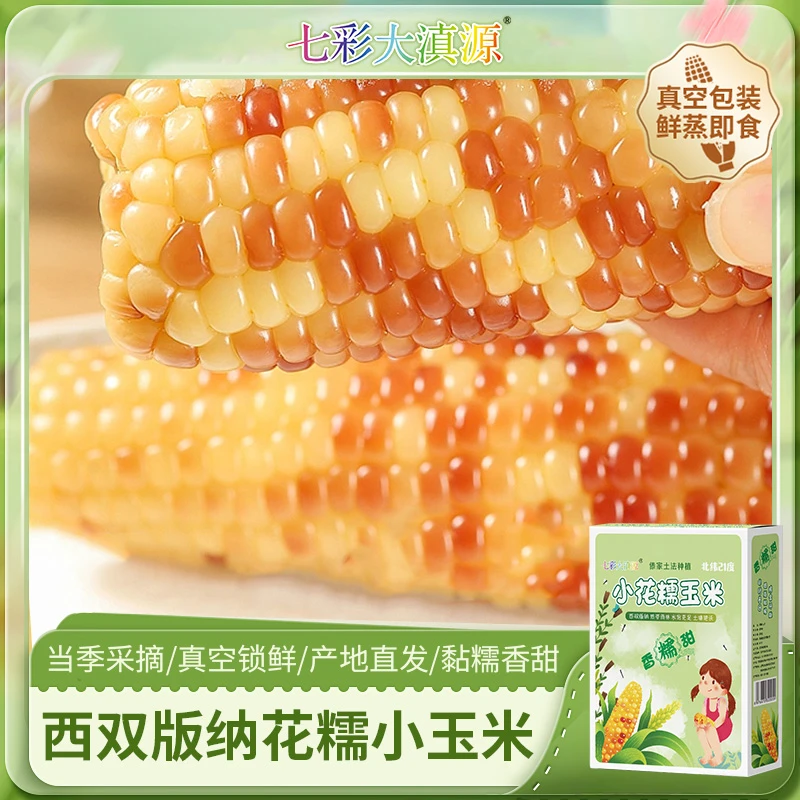 七彩大滇源西双版纳花糯小玉米礼盒装真空装粗粮玉米1斤/3斤/5斤