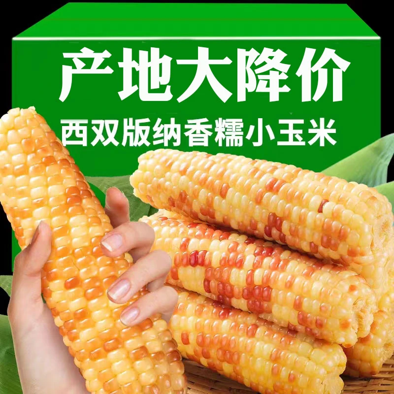 七彩大滇源开袋即食云南西双版纳花糯玉米新鲜玉米整箱1斤5斤真空