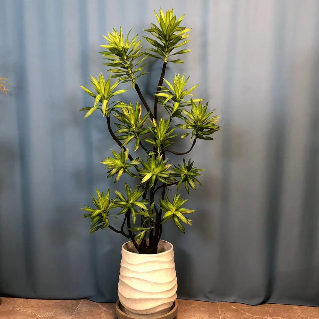 金心百合竹黑骨造型落地款老桩养护简单室内大型盆栽手工制作