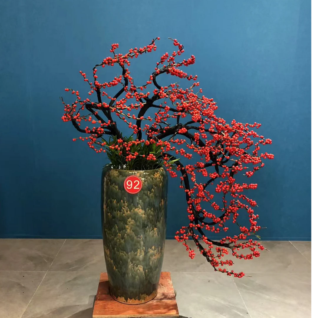 满堂红北美冬青黑骨造型高端观果盆栽中国红冬季耐寒果期悠长礼品