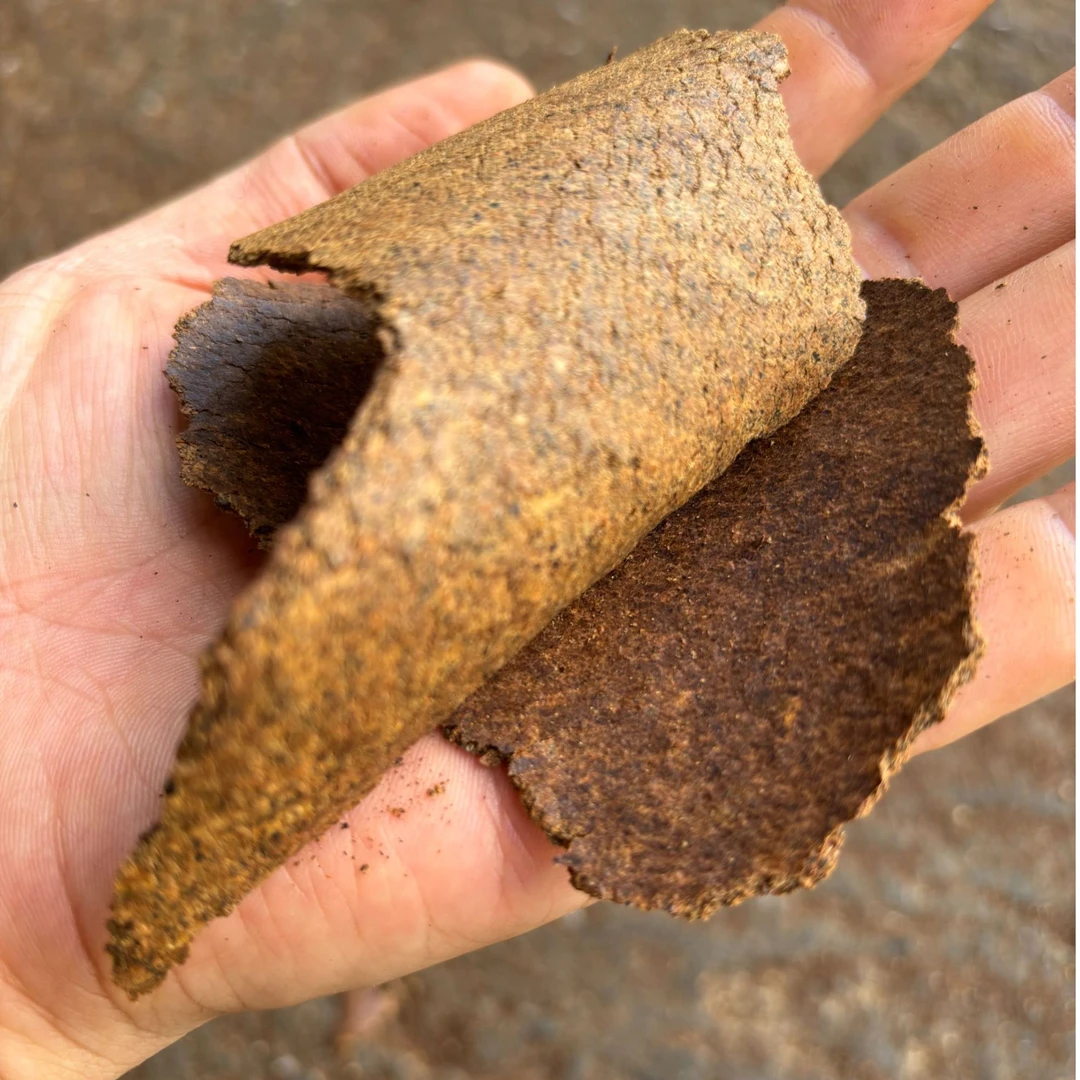 5斤/10斤/20斤/50斤菜饼菜籽饼肥料鱼饵钓鱼打窝种菜种花