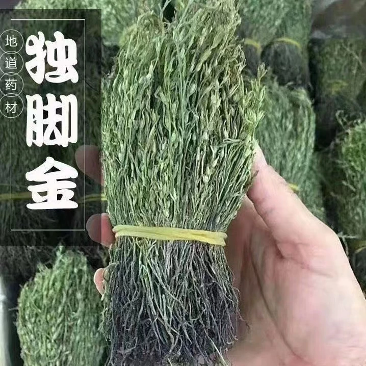 广宁深山山货独脚金