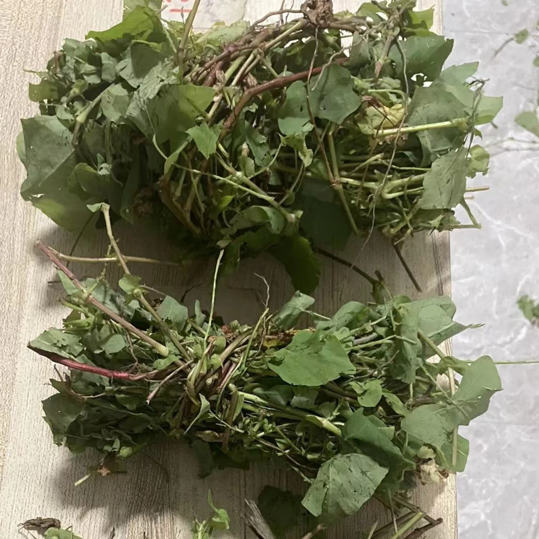 【皇后精选】农产品杨麻花草三扎