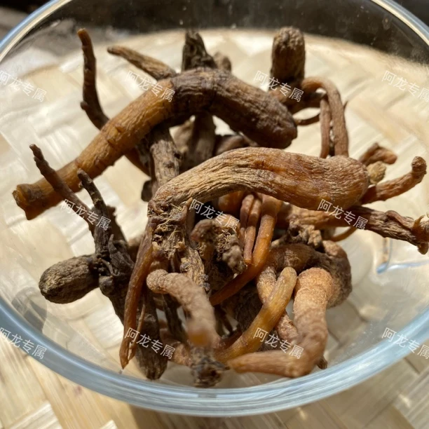 【土特产】老-山-滲净含量100g-500g
