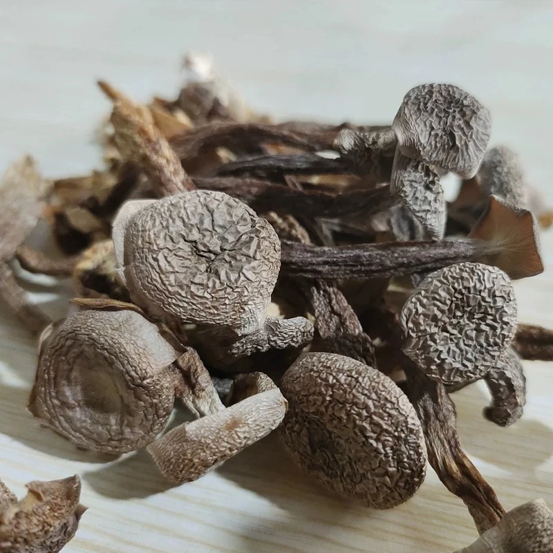 【鹿茸菇】净含量250g