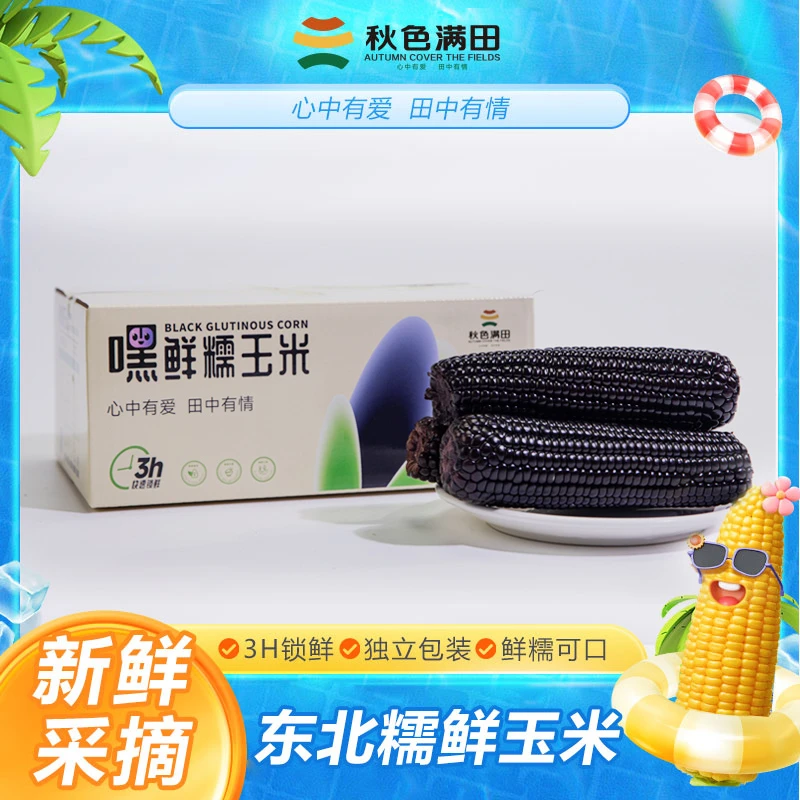 2024-新黑糯玉米东北黑玉米真空装新鲜甜糯轻食代餐苞米黏玉米