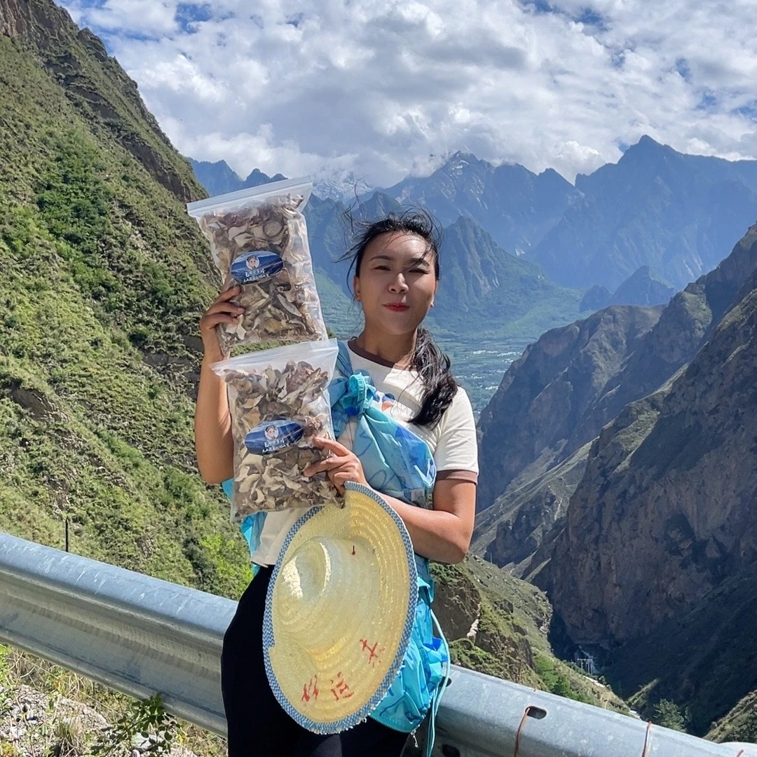 阿坝州特产（青杠菌干货）