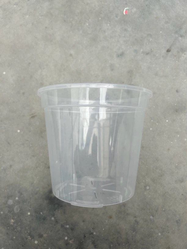 新款蝴蝶兰专用花盆加厚透明青山盆育苗杯硬植大口径杯透气控根盆