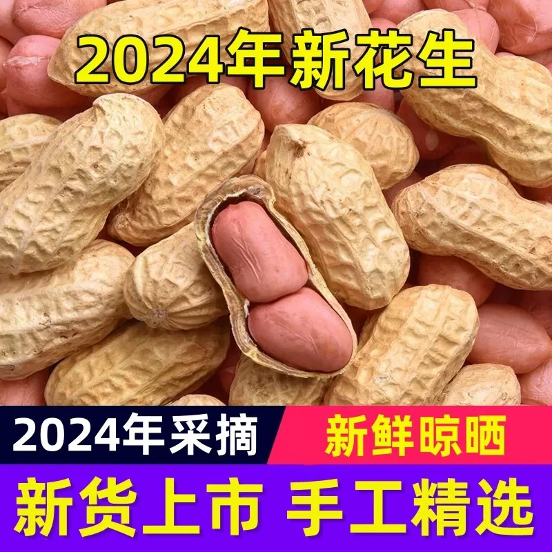 花生农家新货晒干