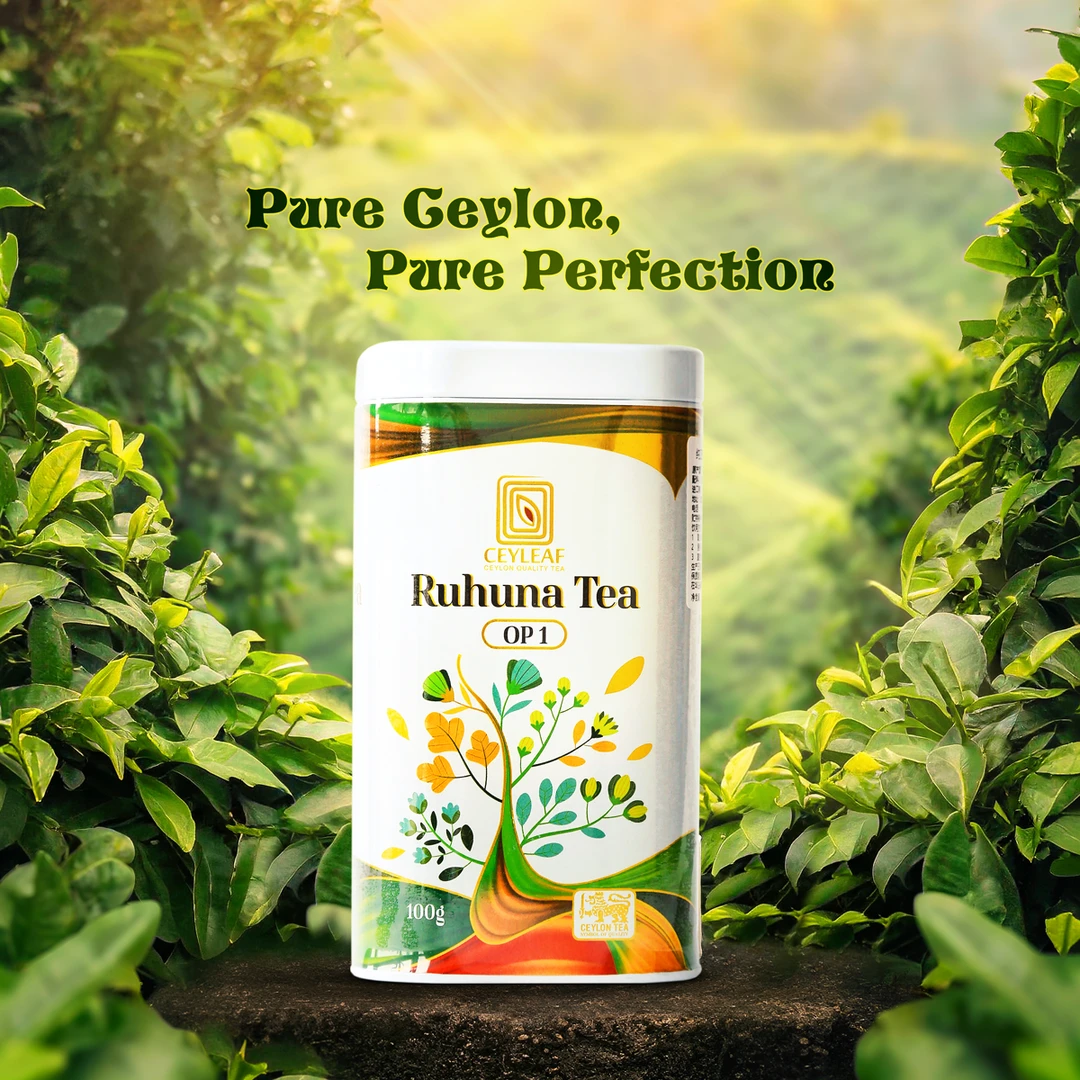 【锡兰甄选】锡兰红茶OP1级斯里兰卡进口红茶原味红茶