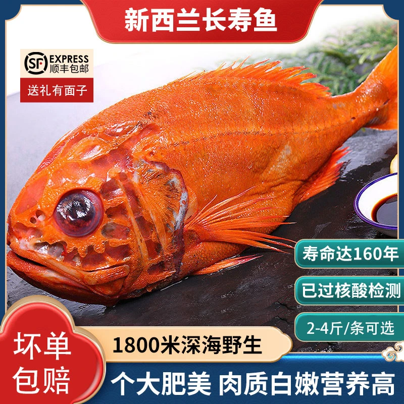 大连发货深海野生长寿鱼 胸棘鲷 橙棘鲷 橙鲷鱼2/4斤可选包邮顺丰