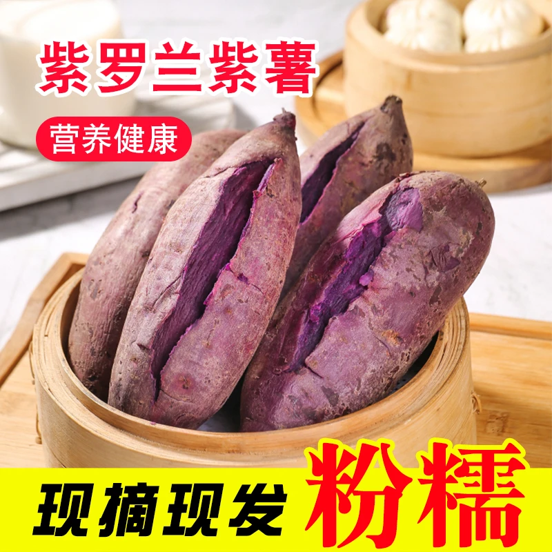思楚紫薯新鲜农家自种现挖5斤紫罗兰蜜薯糖心甜山芋蔬菜番薯