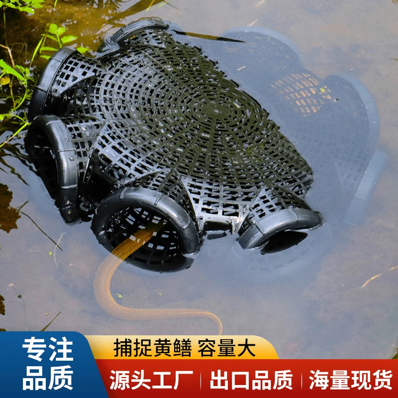 黄鳝笼新款鳝鱼笼子塑料捕鳝神器泥鳅笼鱼虾笼倒须捕鱼笼钓黄鳝