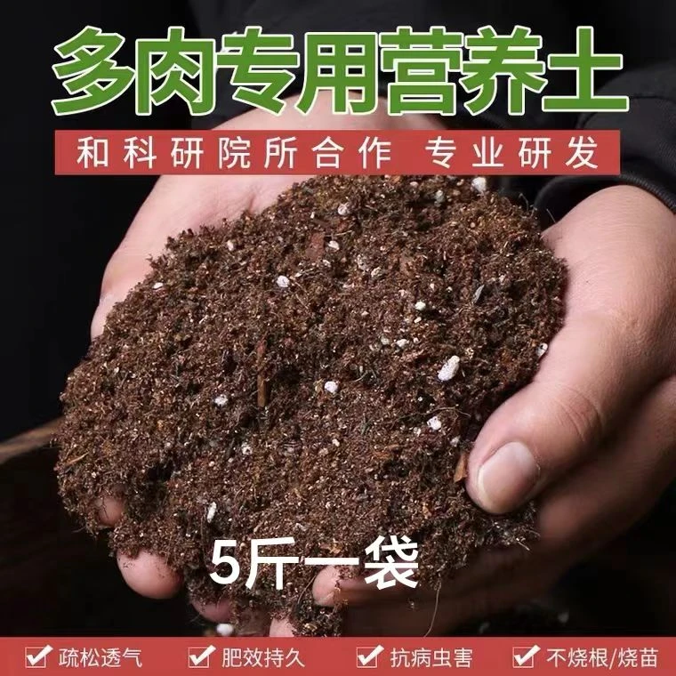 a综合链接 满9.99包邮多肉植物懒人庭院阳台  新人好养云南基地直