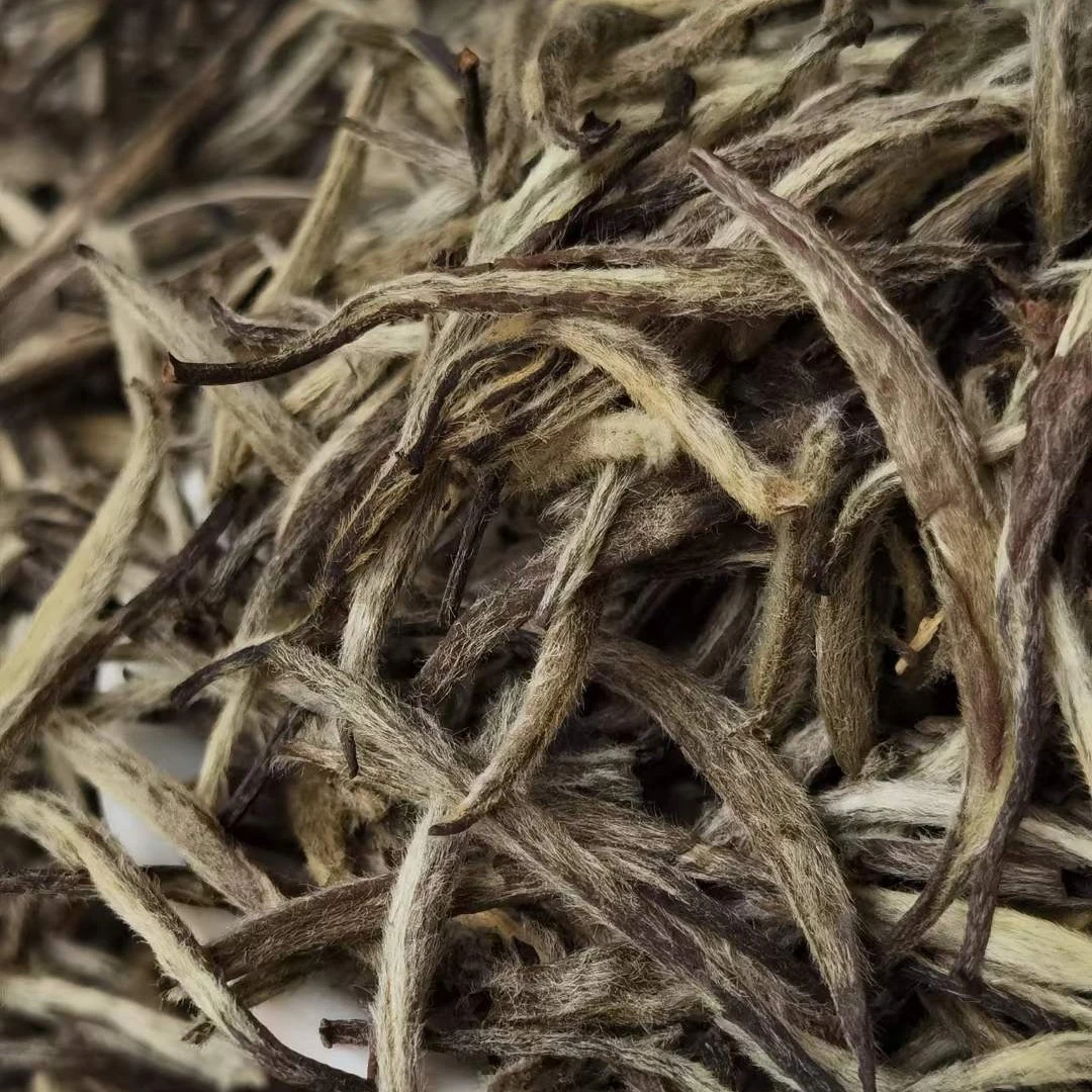 【拾天荒】曾浅浅系列 2008年荒野T级白毫银针