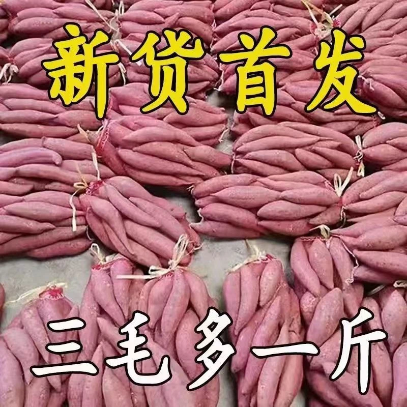 【新店优惠】超甜沙地红薯新鲜红心黄心蜜薯地瓜1/5/9番薯蔬菜水果