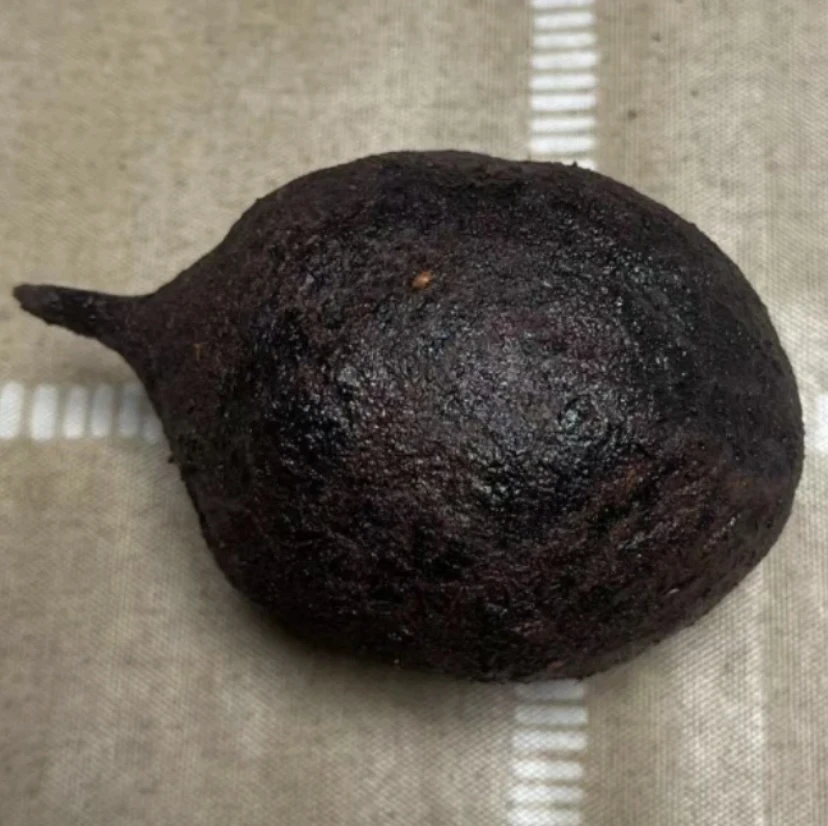 直播间现切果-【风化菩提老果】脖挂创意饰品