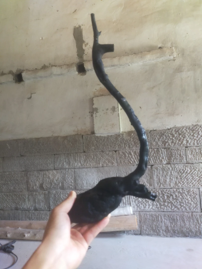 瓶兰花开魅力金弹