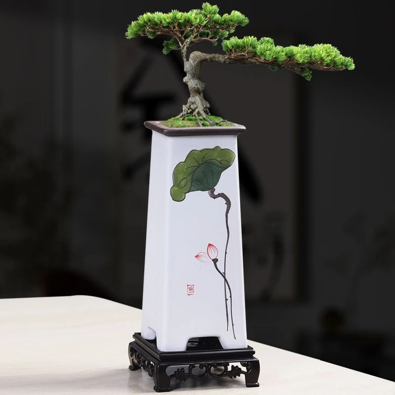 简约手绘四方形高款紫砂兰花专用绿植花盆悬崖多肉老桩飘枝造景盆