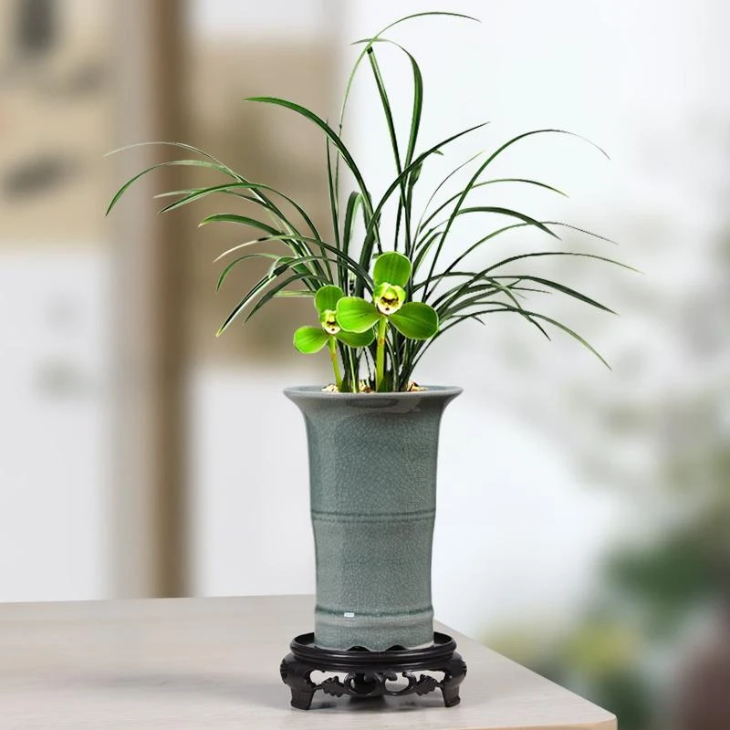 中国风古典手工兰花绿植花盆中式哥窑冰裂陶瓷家用客厅文竹多肉盆