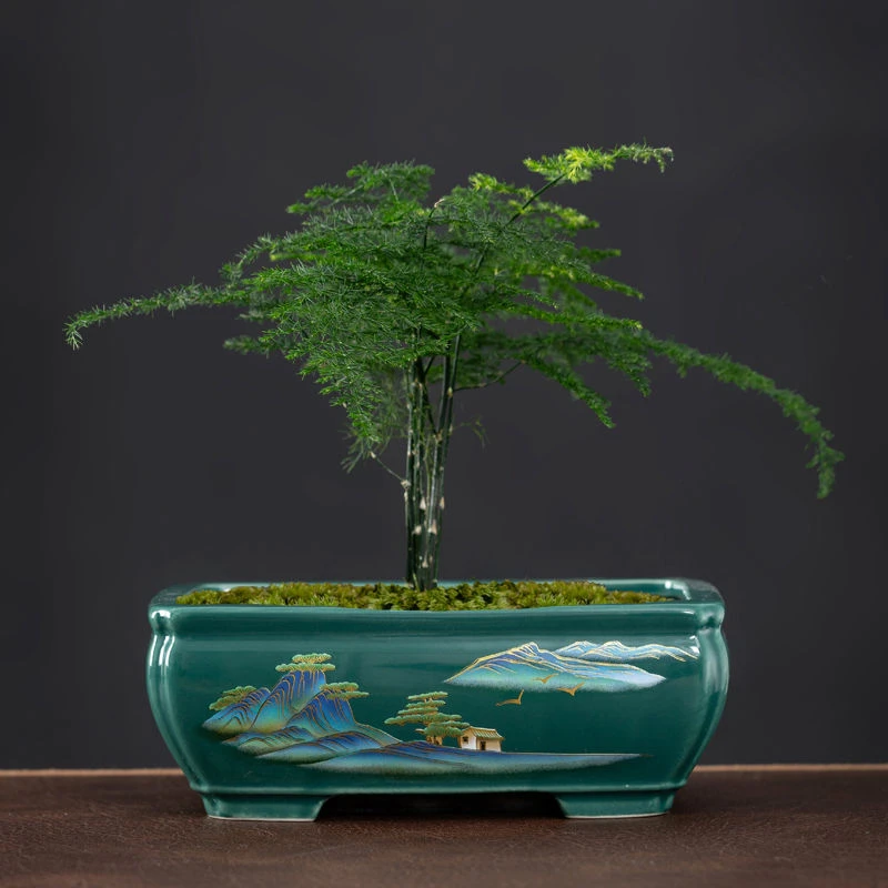 多肉的花盆陶瓷创意长方形蝴蝶兰盆景花盆家用文竹六月雪盆栽盆器