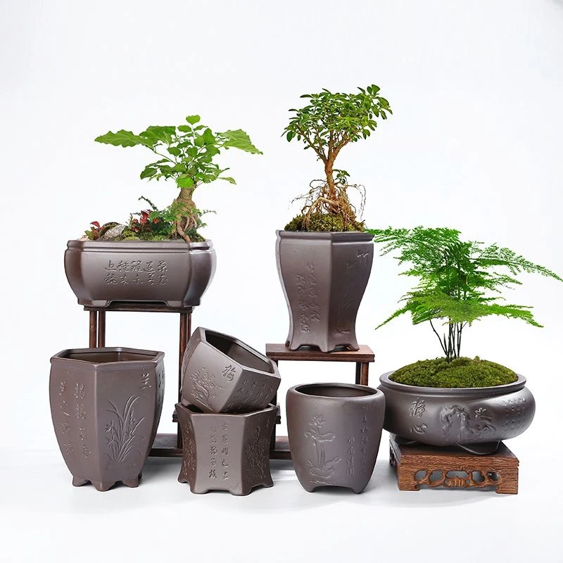 紫砂兰花蝴蝶兰花盆文竹菖蒲绿植物盆栽大号陶瓷多肉盆景创意手工