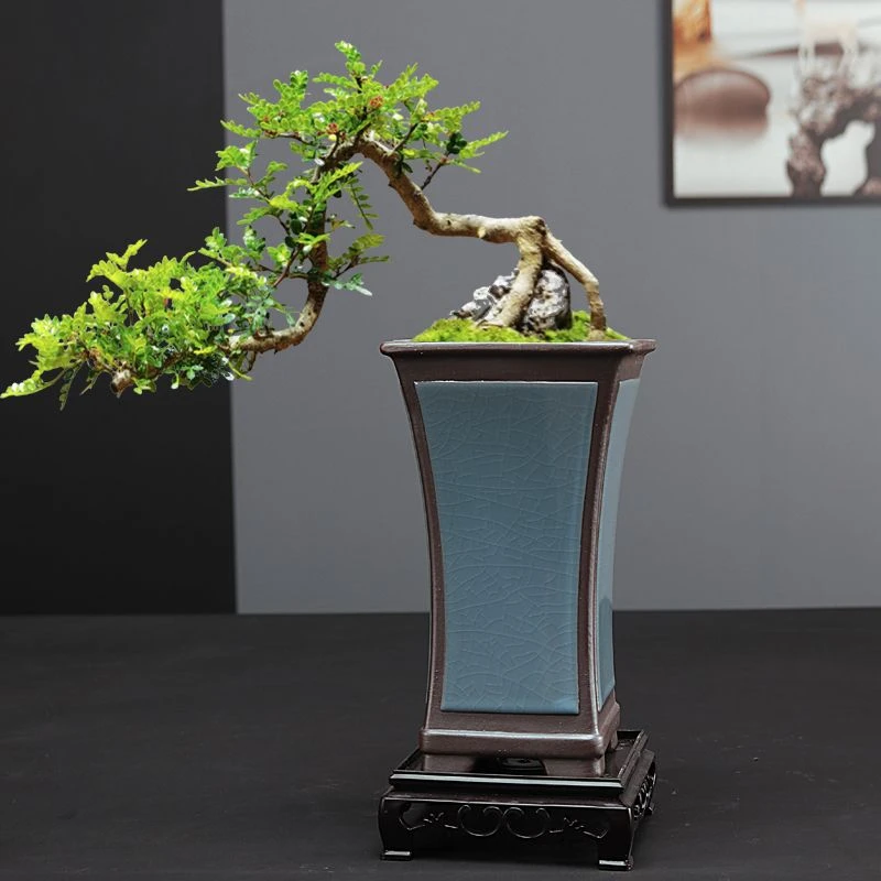 精品大号哥窑紫砂高款兰花专用花盆家用室内绿植盆栽悬崖老桩盆