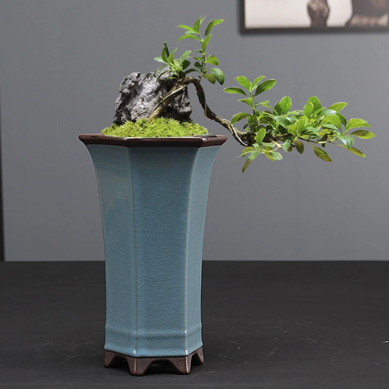简约陶瓷盆六方兰花盆花卉绿植物盆栽大号手工花盆悬崖老桩盆栽盆