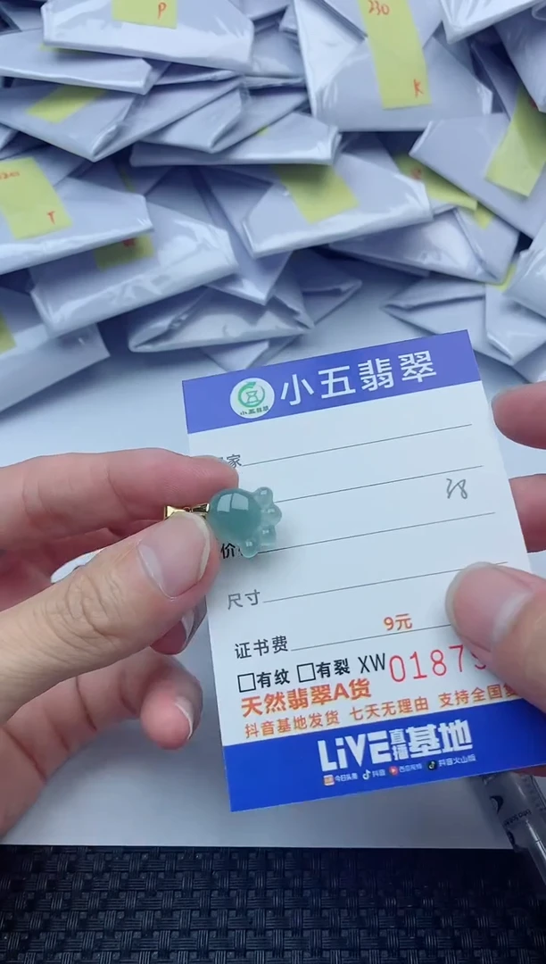 【闪购商品】翡翠吊坠(不含链)未镶嵌多样性发货（发1）