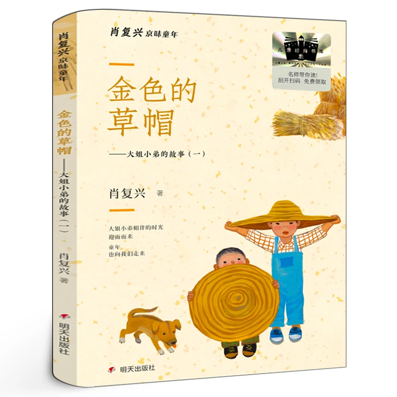 金色的草帽 肖复兴著 二年级推荐阅读书 正版包邮 百班千人推荐2