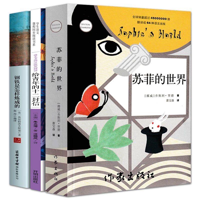 全3册 八年级钢铁是怎样炼成的+苏菲的世界+给青年的十二封信初二