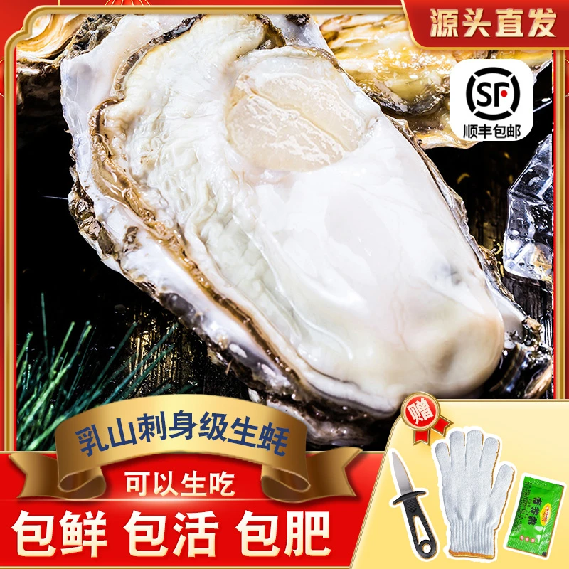 【2-3两】 鲜活乳山生蚝海蛎子牡蛎团购价原产地海鲜顺丰新鲜干净