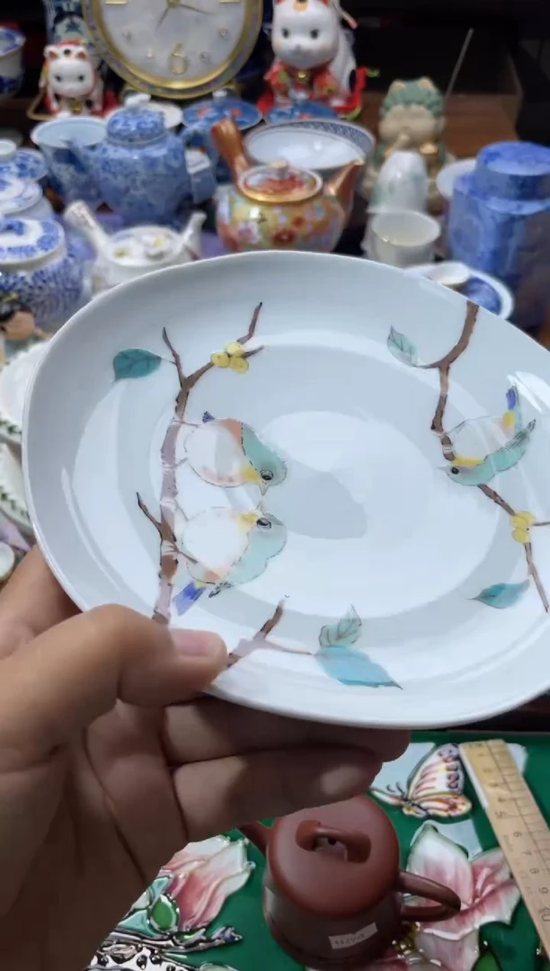 【闪购商品】瓷片欢迎来到胖瓷直播间