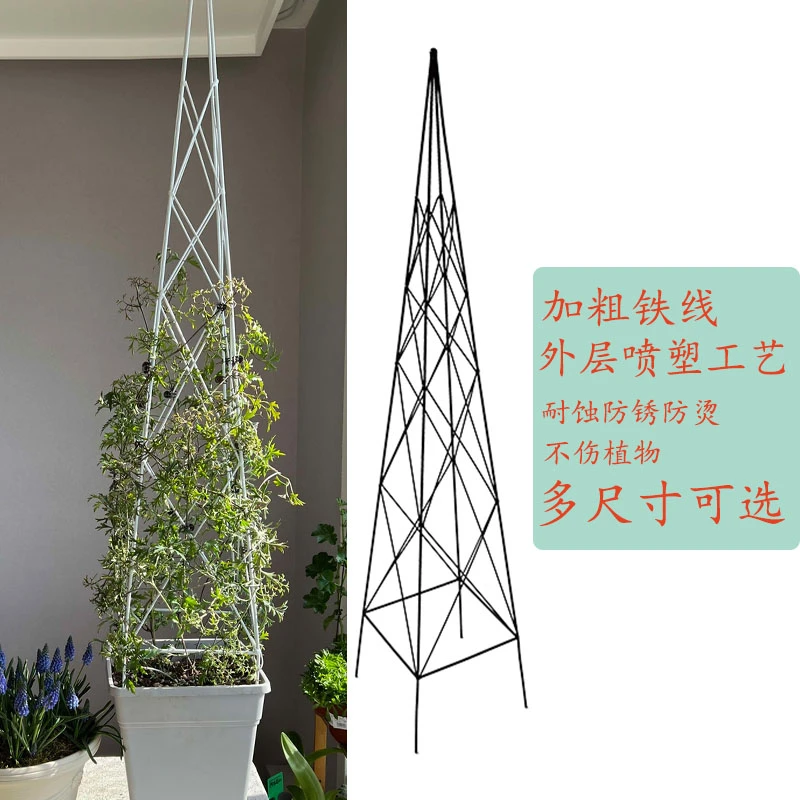 淘不淘器园艺阳台尖塔形铁艺爬藤架花架