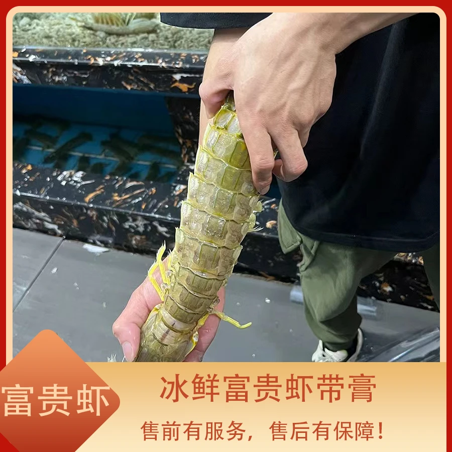 带膏富贵虾 冰鲜富贵虾特大皮皮虾新鲜非冷冻
