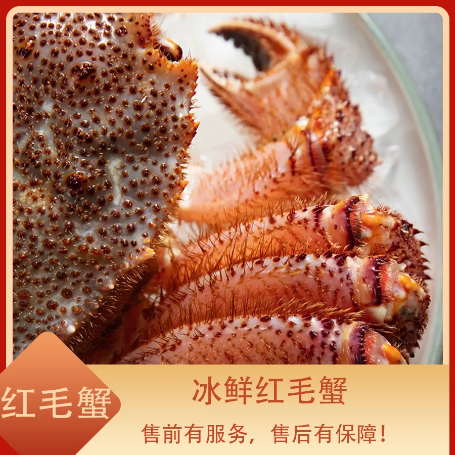 红毛蟹江浙沪皖压冰发货【保鲜不保】部分缺腿 其余省份冻发