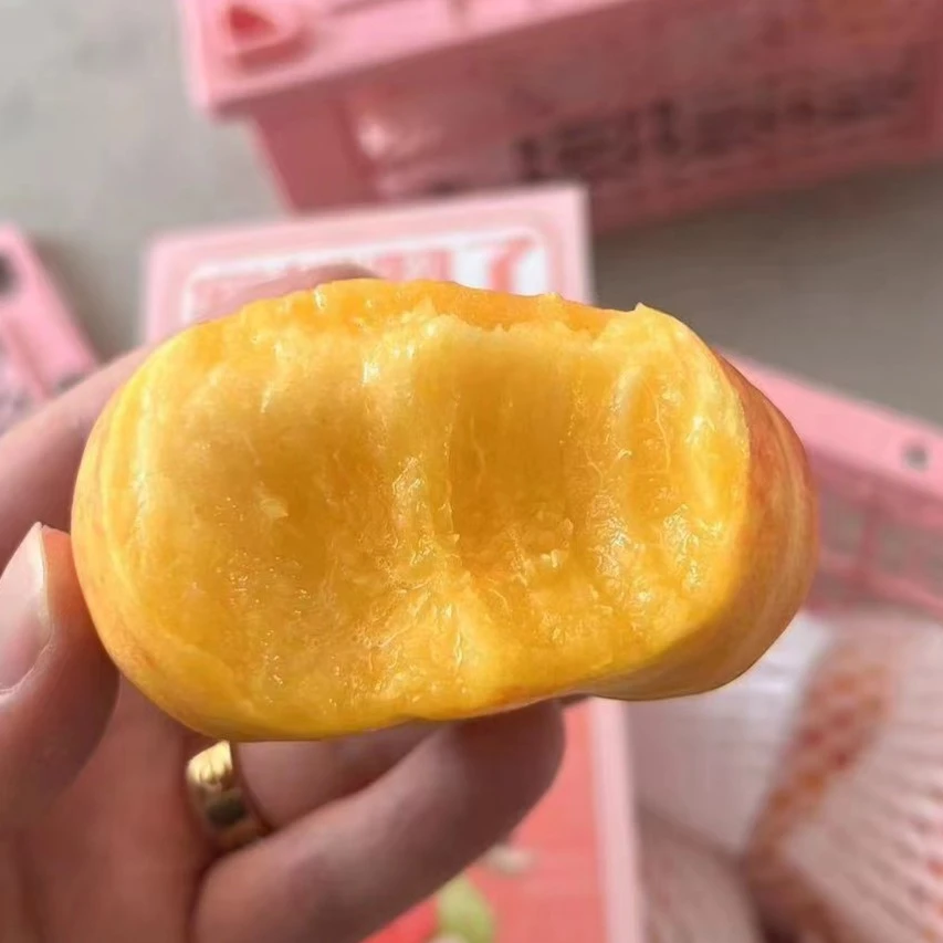 【彩虹蟠桃】彩虹蟠桃 2斤