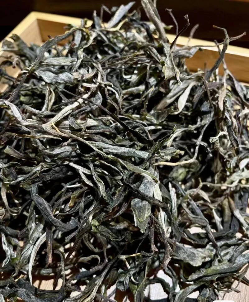 49.9古树生茶250克散茶