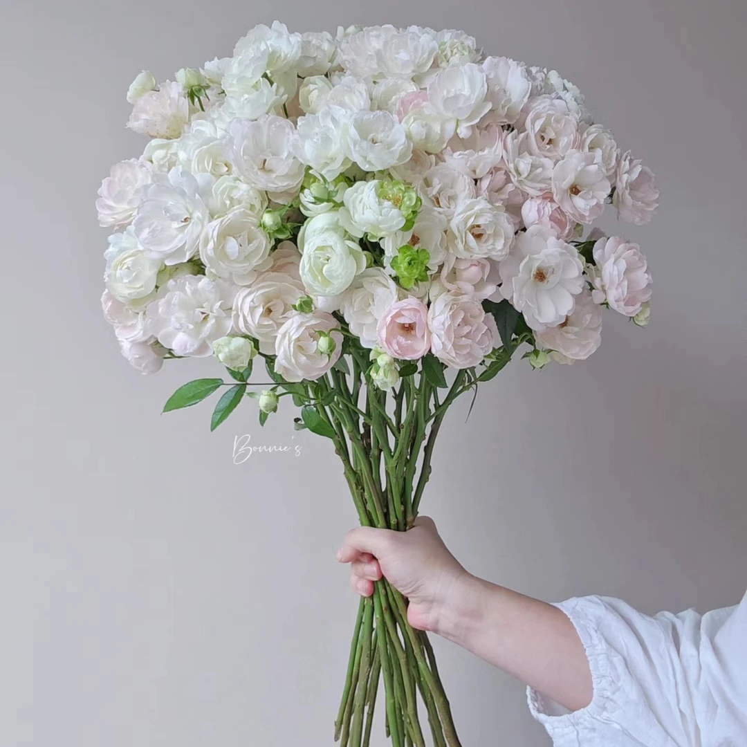 A“粉泡芙”多头玫瑰10支装10支装【任意两单包顺丰%10起售后】