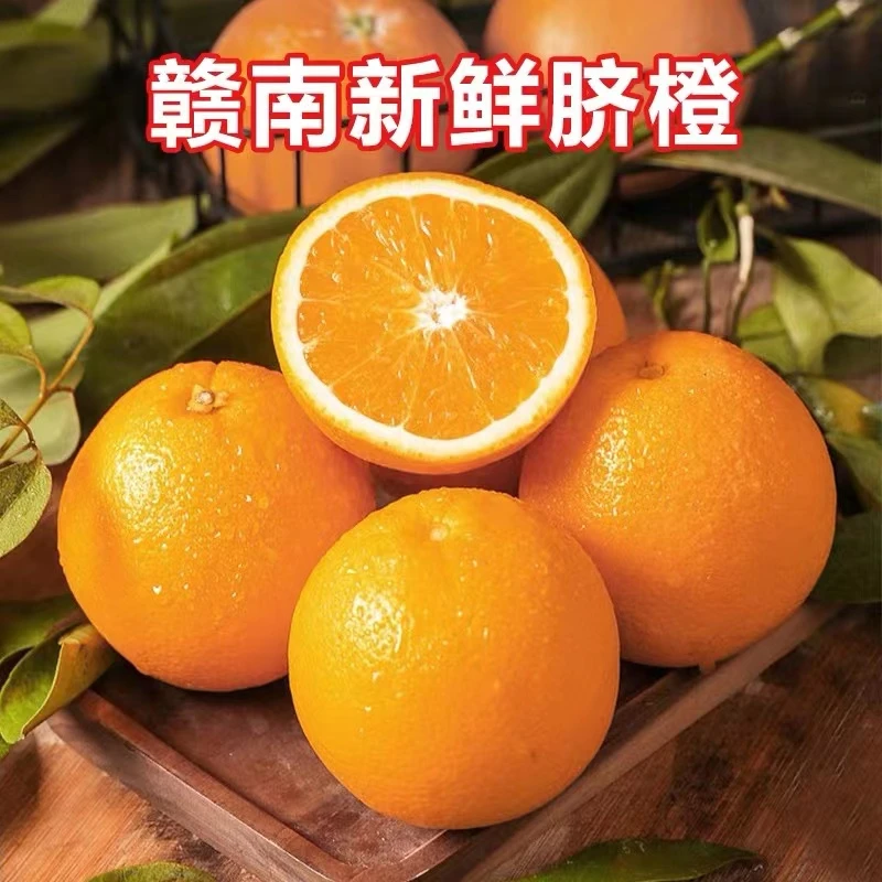 【爆款福利】江西赣南脐橙新鲜农家现摘鲜甜阳光优选 10-20斤包邮