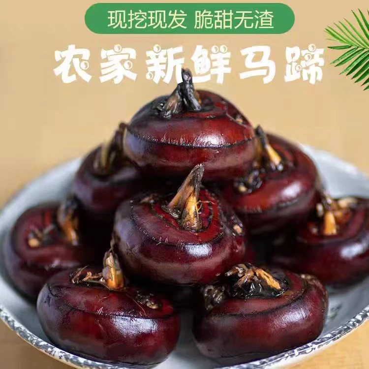 新鲜马蹄荸荠农家土特产地栗时令水果红马蹄当季大果天然蔬菜