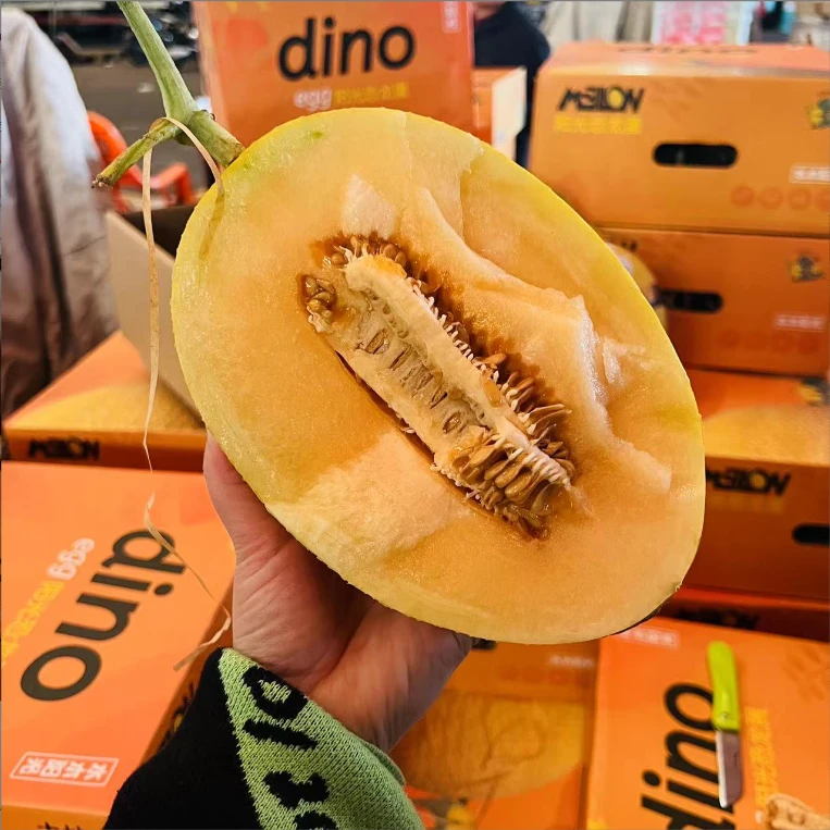 当季阳光恐龙蛋哈密瓜脆甜蜜瓜2个 顺丰包邮