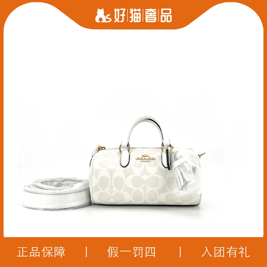 95新 COACH/蔻驰 冰川白巴比龙/V0140/20X10X4