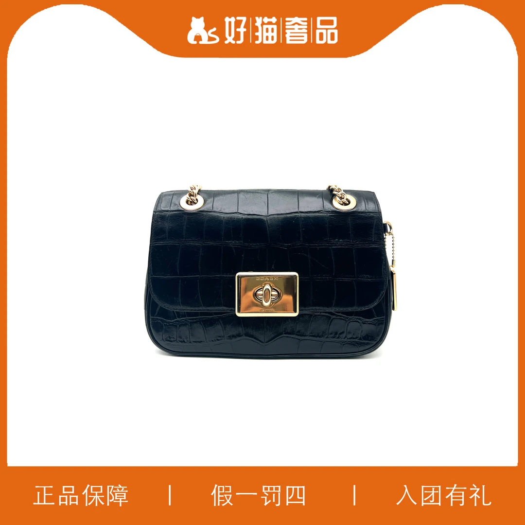 95新 COACH/蔻驰 蔻驰鳄鱼纹链条包/B1588/24X17X7